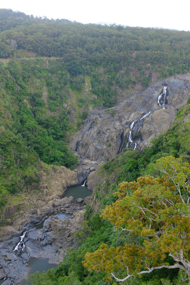Baron falls are the major landmark in Kuranda rainforest