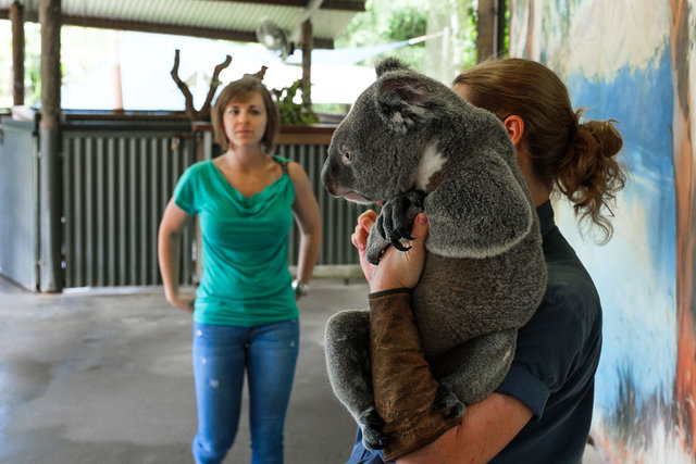 Excited lady looking forward to cuddle not so excited koala