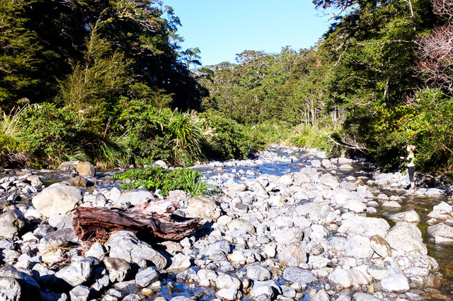 The Atiwhakatu Stream near the hut
