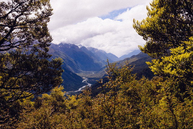 One of rare clear views on the track -- Hollyford Valley