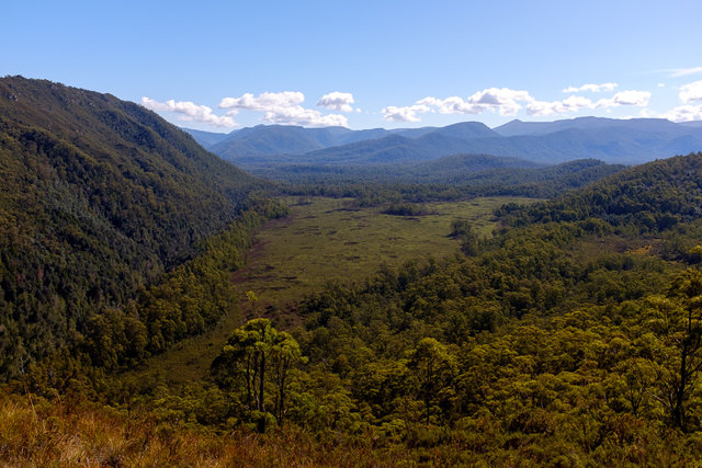 An emerald valley from Donaghys Lookout