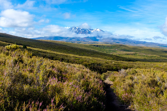 For the last time -- Mt Ruapehu