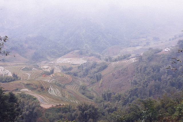 The last view of rice terraces in Muong Hoa Valley