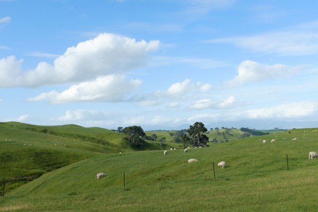 A view of surrounding farmland