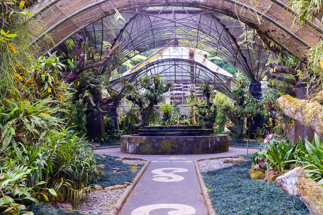 An orchids selection in Bali Botanic Garden