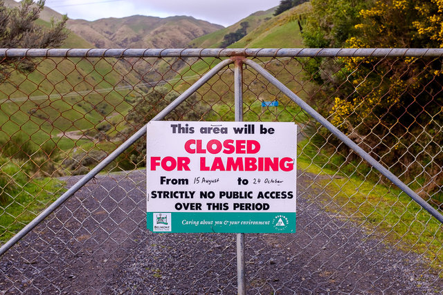 A sign saying that the path is closed for lambing