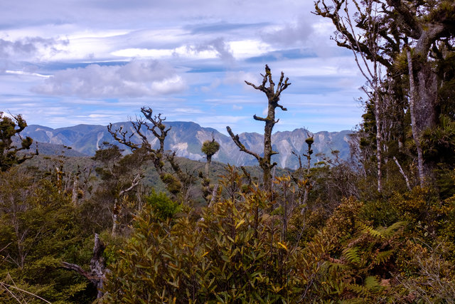 Rimutaka Range in the background