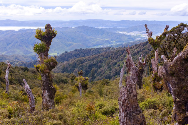 One more view towards Wainuiomata and Hutt Valley