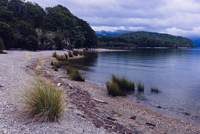 Lake Manapouri beach