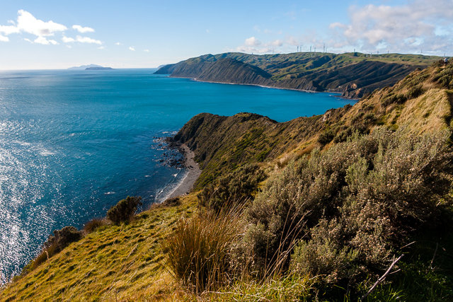 Kapiti and Mana Islands in the background