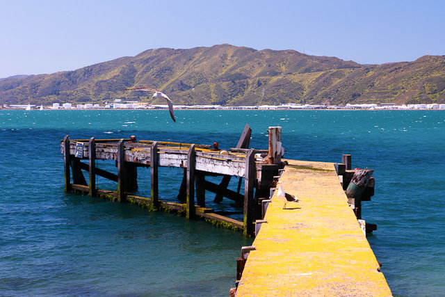 Beautiful old yellow wharf