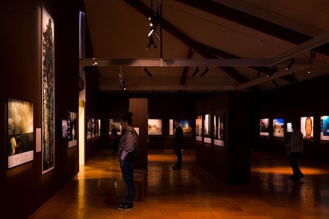 Visitors at the gallery