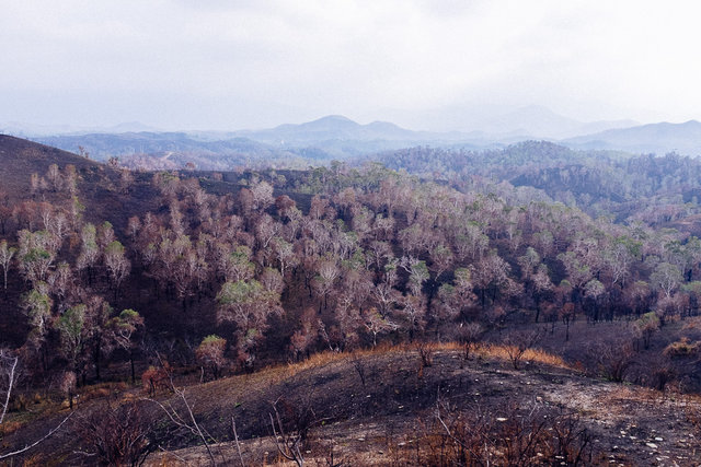 Black soil and burned vegetation -- you don’t find these pictures in tour brochures