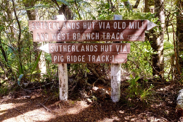 The intersection with the Pig Ridge Track