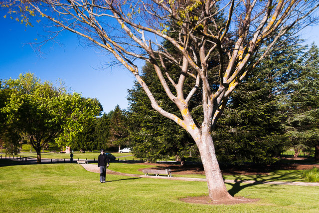 Bason Botanic Gardens are an amazing place to have a breakfast