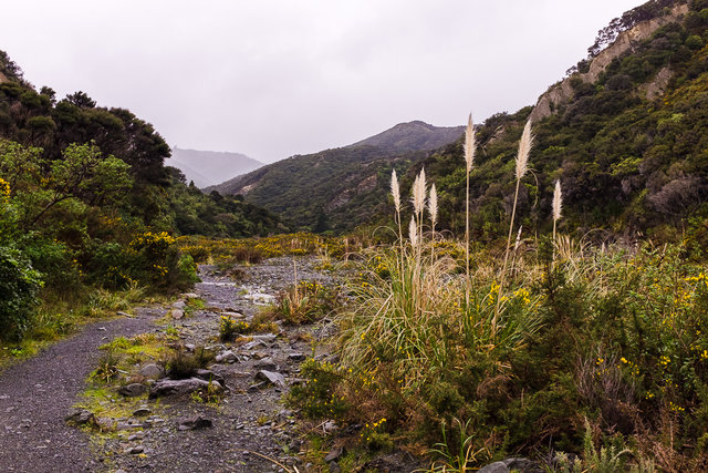 The beginning of the Pinnacles track