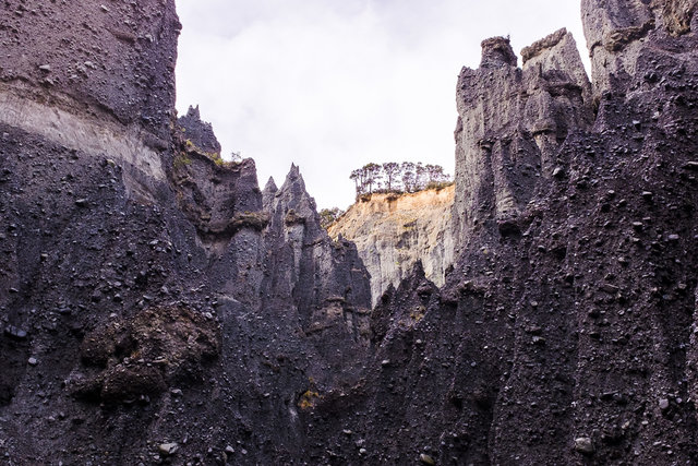 At the base of Pinnacles