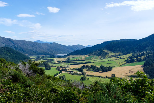 A view of farmland at Kenepuru Sound