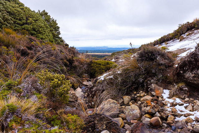 A nice volcanic scenery with a small stream