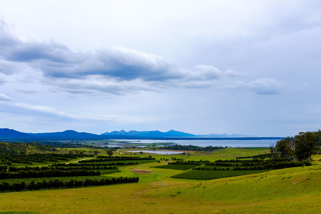 A view of wineries and Moulting Lagoon