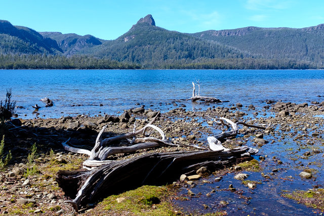 One of many little clearings on the way back to Cynthia Bay