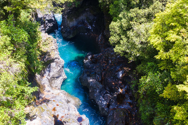 The view of Tree Trunk Gorge