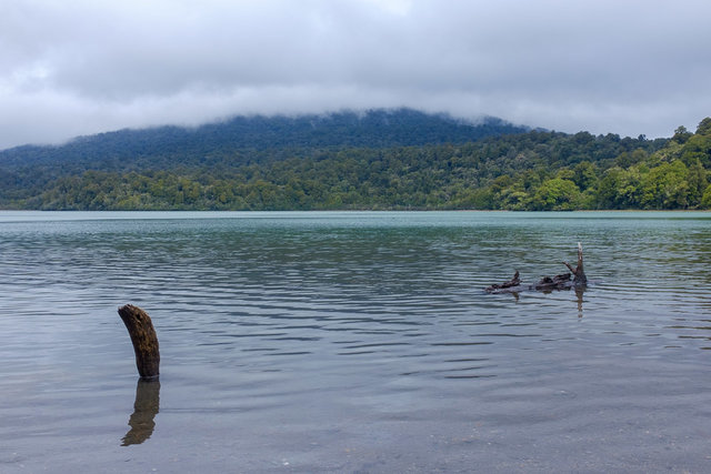 The look around lake Rotopounamu