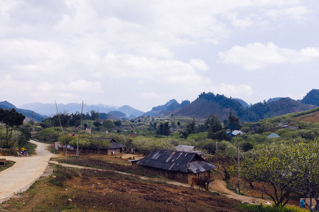 View of village near by