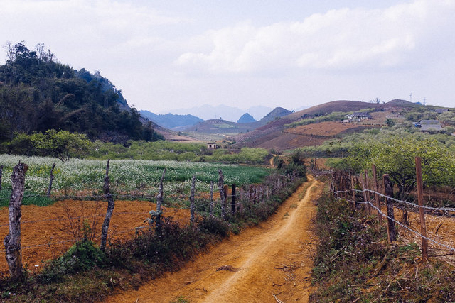 Stroll around ethnic village in Moc Chau