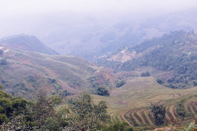 Another misty view of Muong Hoa Valley