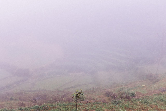 A view was terrible but terraces were really there all around