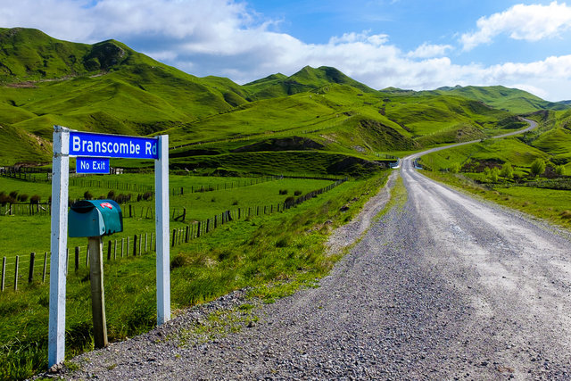 The road to the greenness