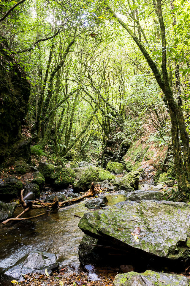 A beautiful and calm view of Dry Creek - one of the zen moments