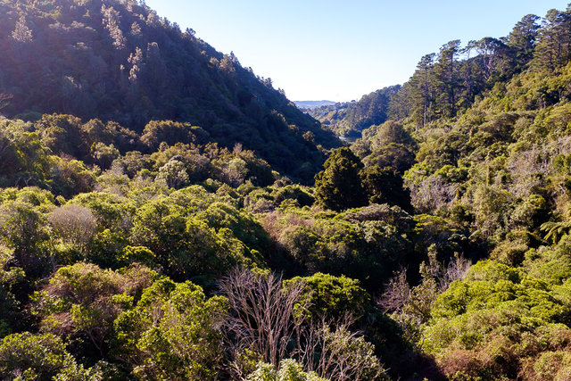 A view of surrounding hills