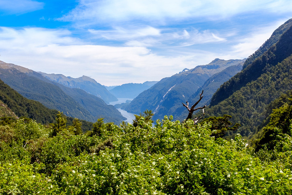 Milford and Doubtful Sound